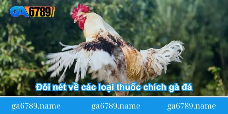 doi net ve cac loai thuoc chich ga da Đôi nét về các loại thuốc chích gà đá