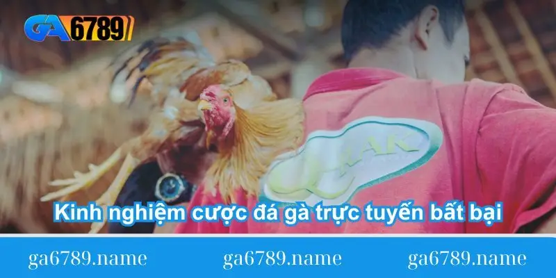 kinh nghiem cuoc da ga truc tuyen bat bai kinh nghiem cuoc da ga truc tuyen bat bai