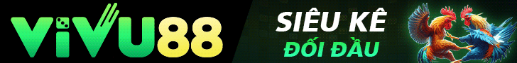 Banner 1
